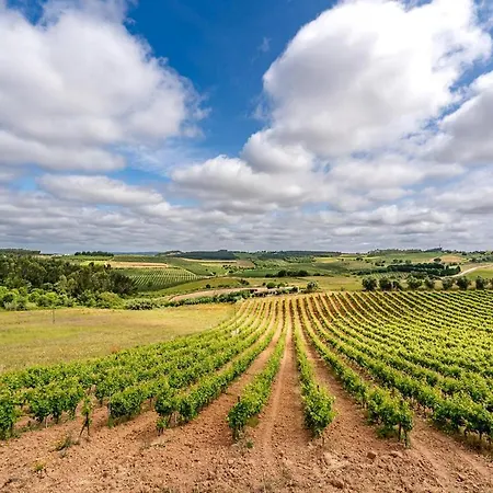 別荘 Adao Lobo Cadaval