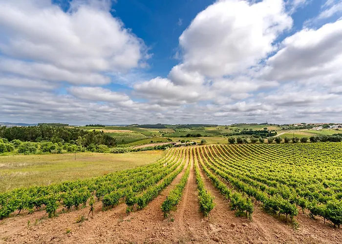 Дом отдыха Adao Lobo